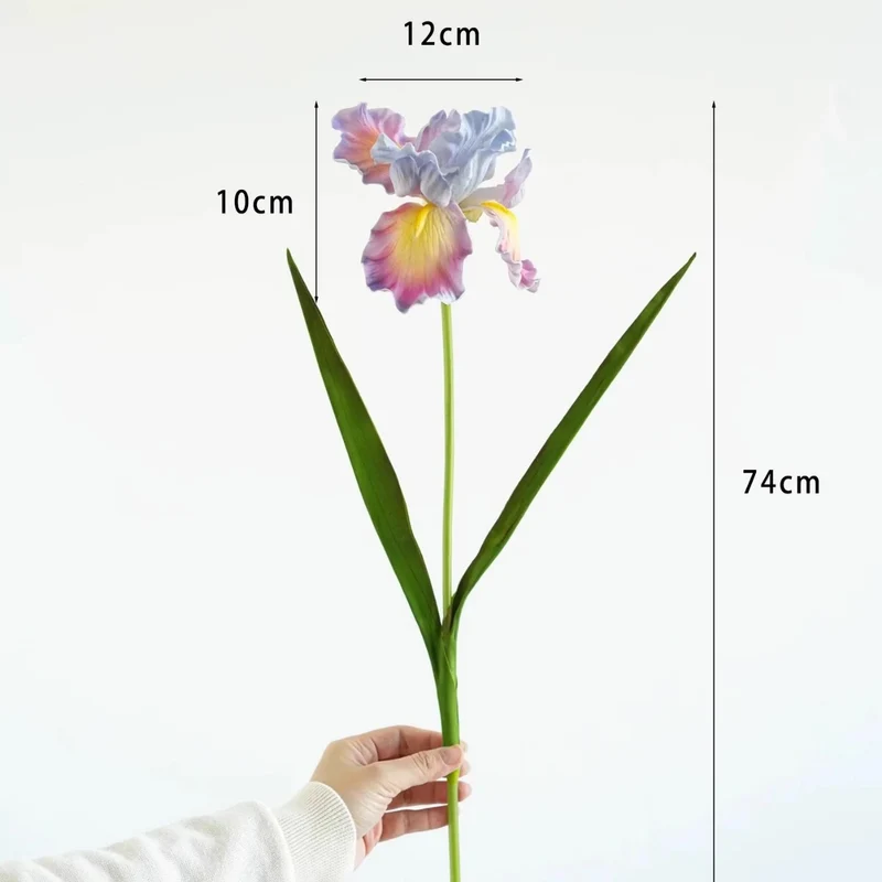 Dekorativer Iris-Blumenstiel