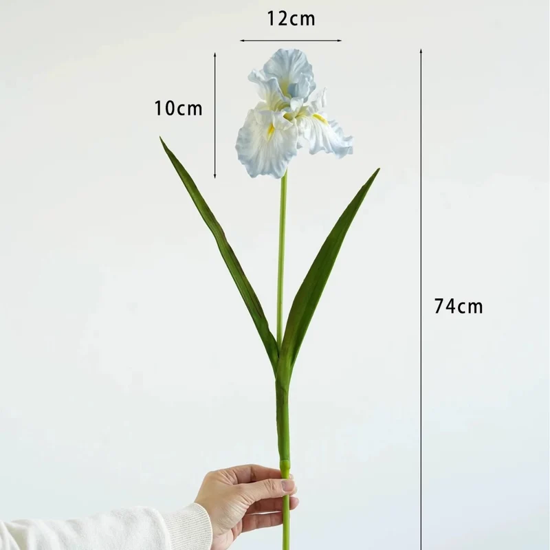Dekorativer Iris-Blumenstiel