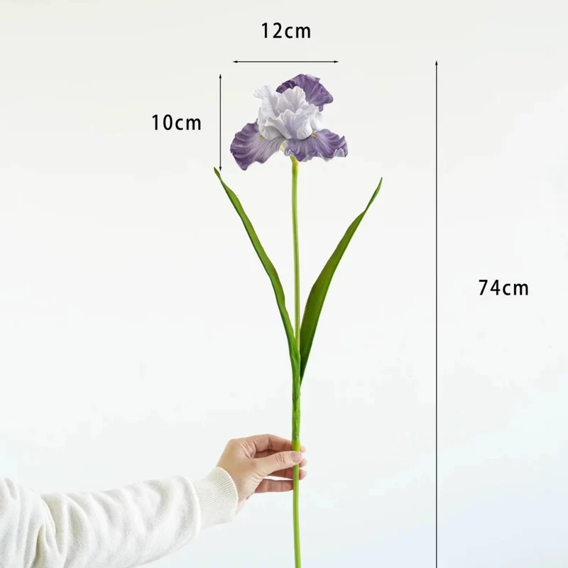 Dekorativer Iris-Blumenstiel