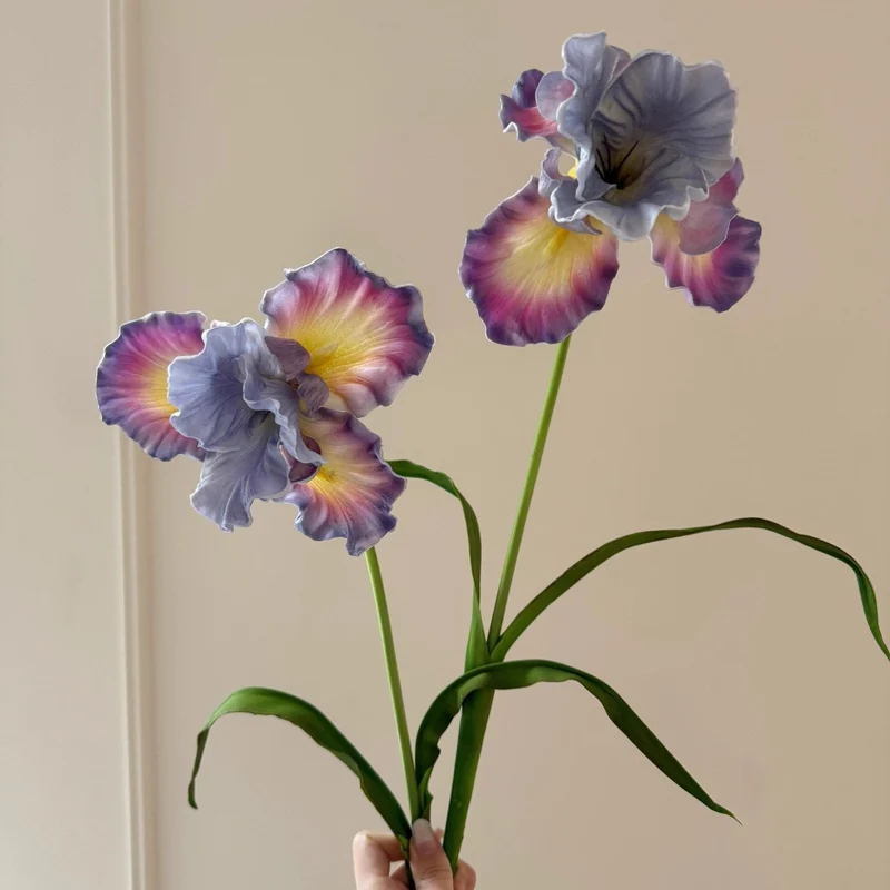 Dekorativer Iris-Blumenstiel