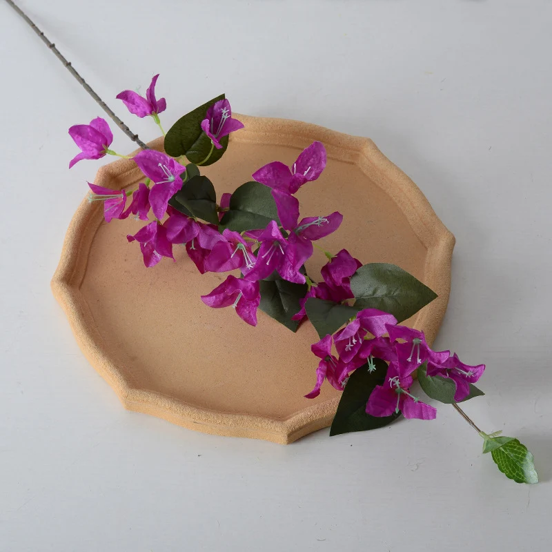 Dekorative Bougainvillea Blumenranke