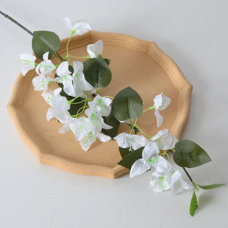 Dekorative Bougainvillea Blumenranke