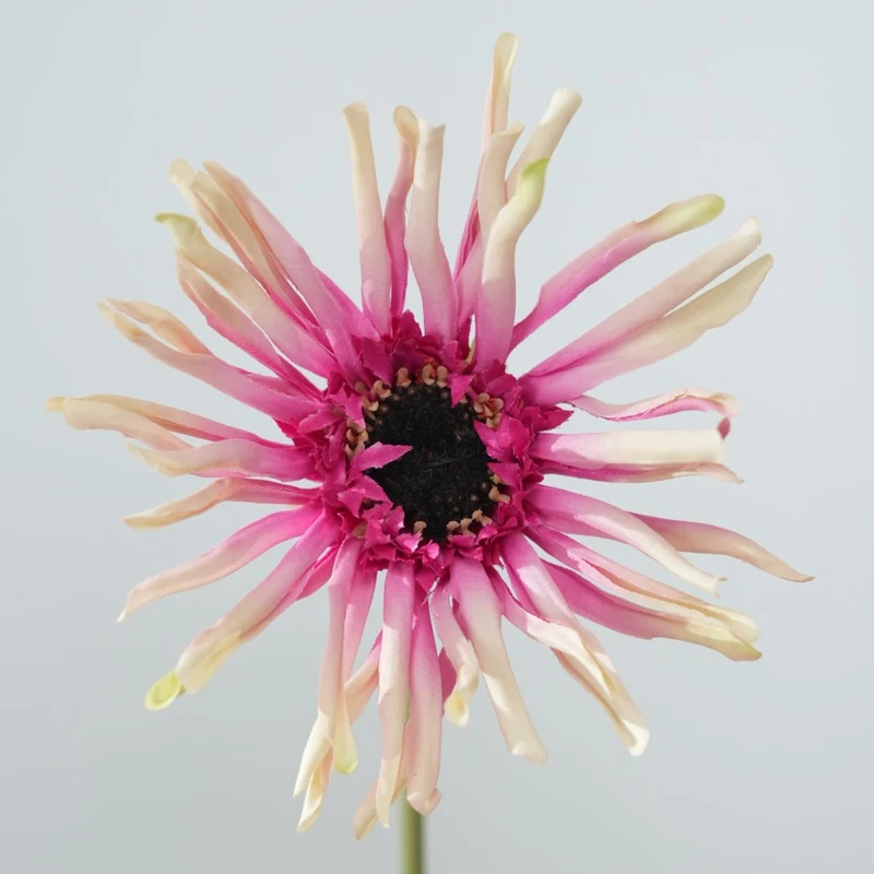 Realistische Sonnenblumenstängel