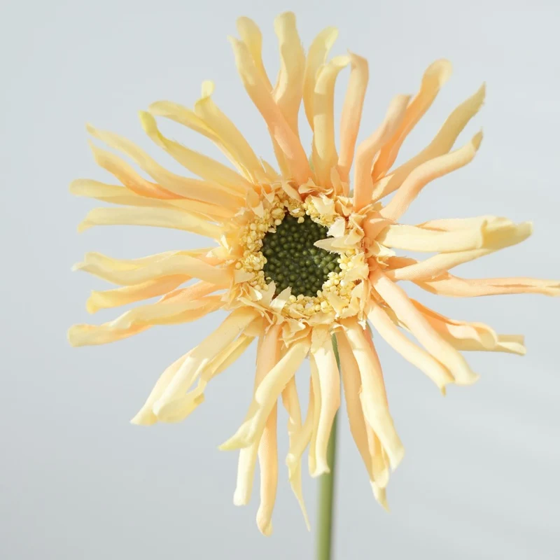 Realistische Sonnenblumenstängel