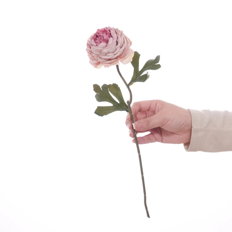 Realistischer Blumenstängel mit detaillierten Blütenblättern