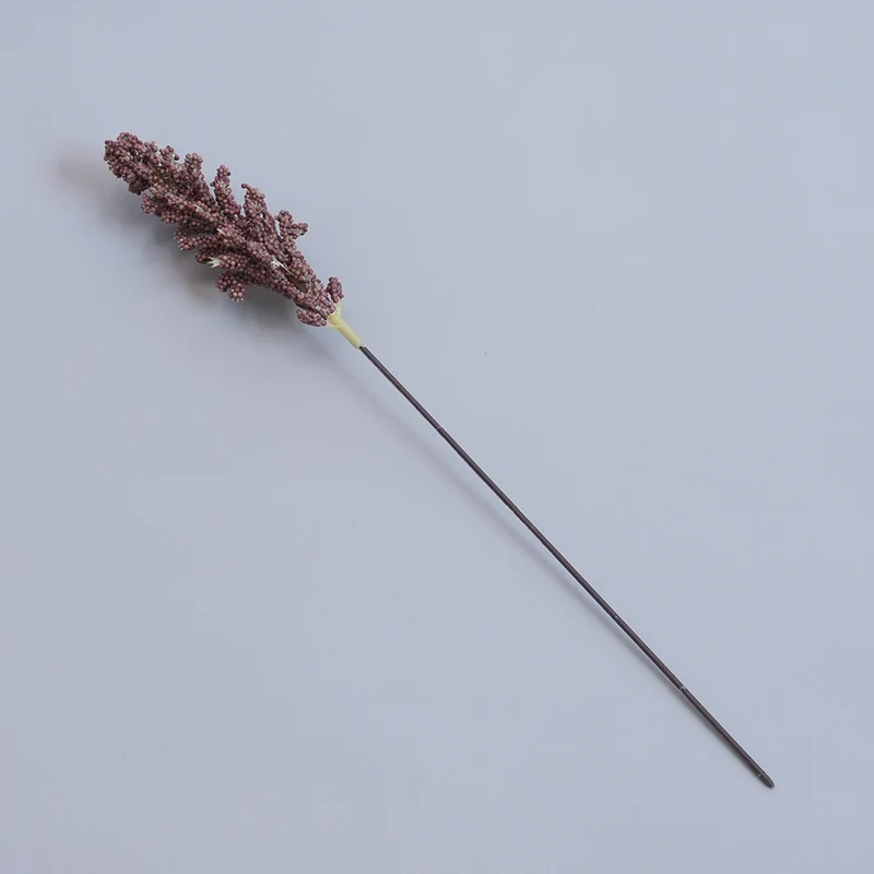Elegante getrocknete botanische Stiele