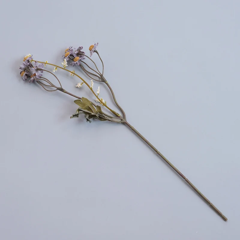 Elegante getrocknete botanische Stiele