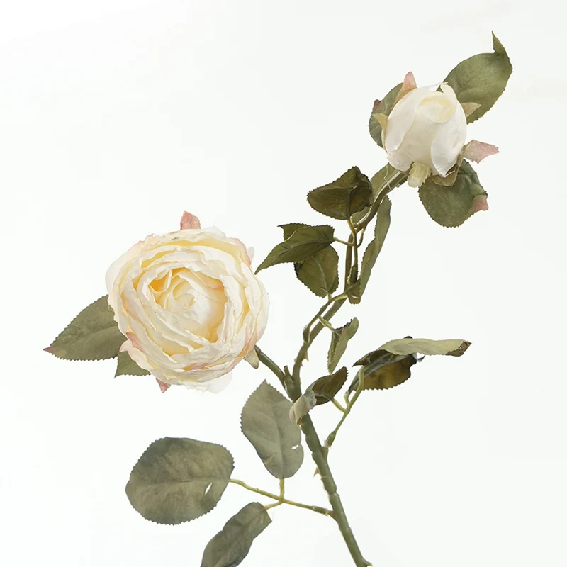 Lebensnahe Pinke Rosenstiel