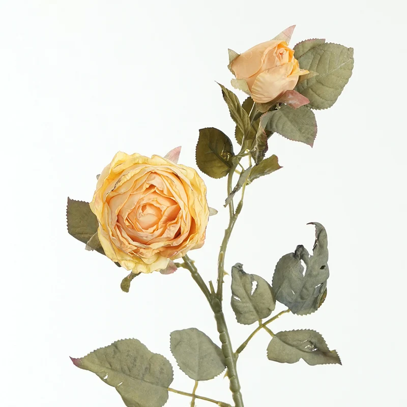 Lebensnahe Pinke Rosenstiel