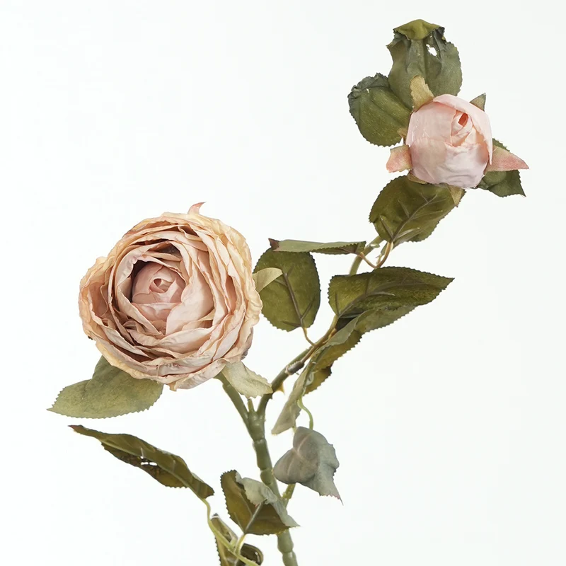 Lebensnahe Pinke Rosenstiel