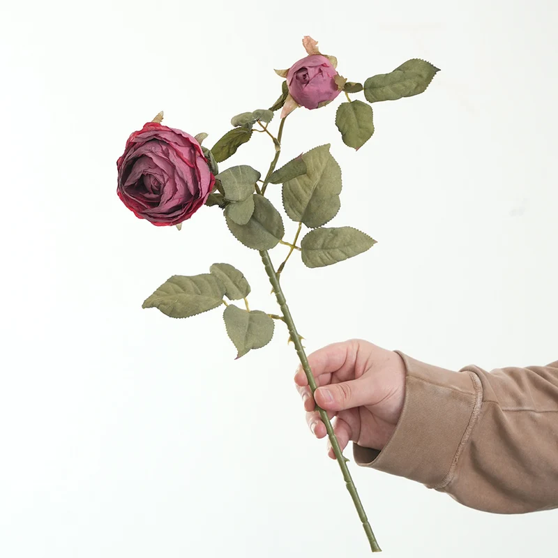 Lebensnahe Pinke Rosenstiel