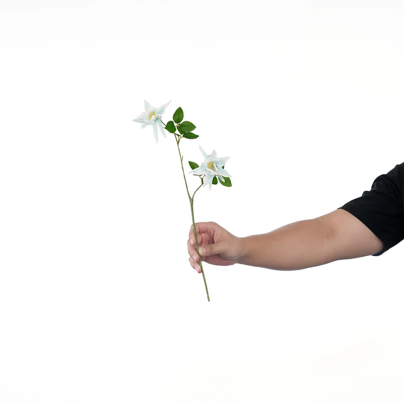 Lebensechte Mehrblütenblumenstiel