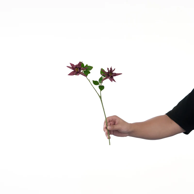 Lebensechte Mehrblütenblumenstiel