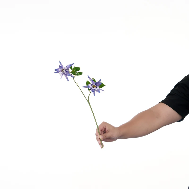 Lebensechte Mehrblütenblumenstiel