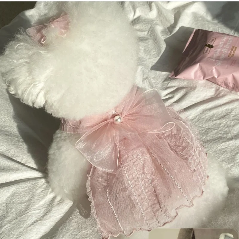 Haustier Tüllspitzenkleid mit Organza und Perlenanhänger