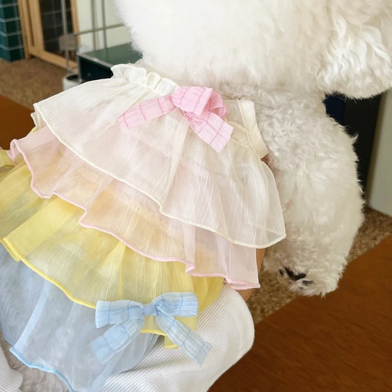 Schichtiger, transparenter Tüll-Harness-Tutu-Rock mit Satin-Akzent