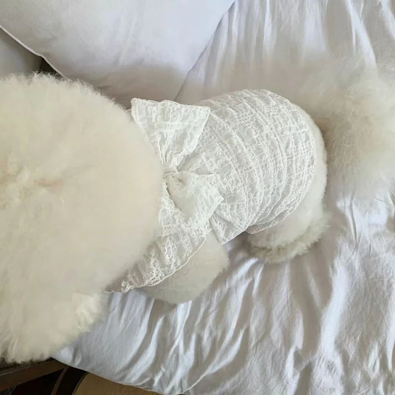 Spitzen-Raffung-Hundekleid mit dekorativem Rücken