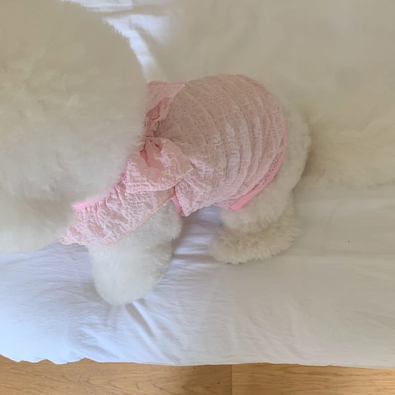 Spitzen-Raffung-Hundekleid mit dekorativem Rücken