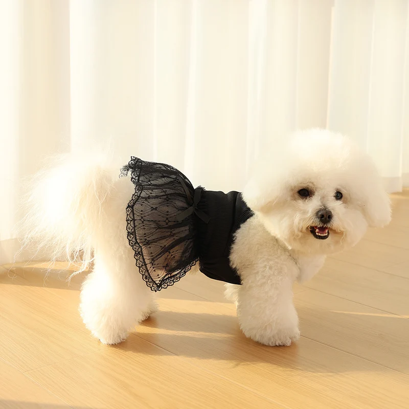 Zartes Spitzen-Tüll-Hundekleid mit gerippter Taille & Dekoration