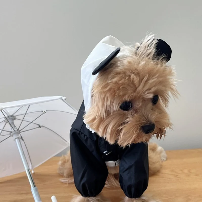 Kontrastpaneel Leichter Hundestrampler